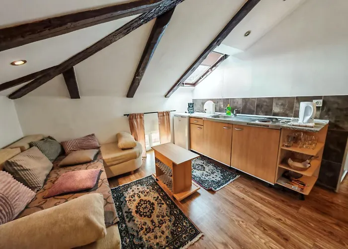 Apartment Damir