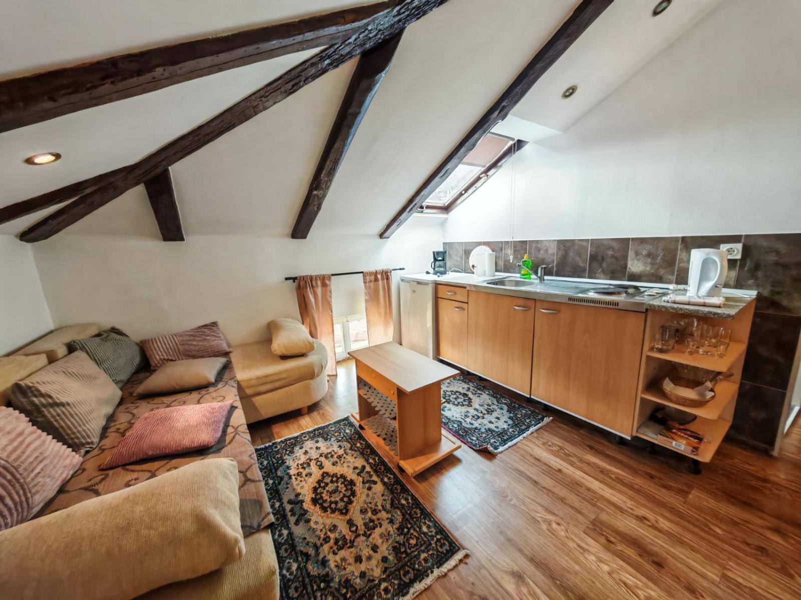 Apartment Damir